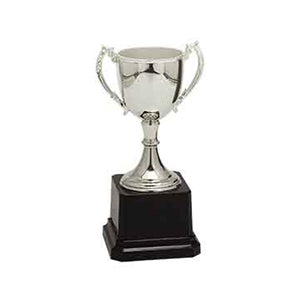 6 3/4" Silver Completed Zinc Cup Trophy Trophy Cups- Completed Cup