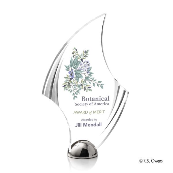 VividPrint™ Award - Flourish Hemisphere/Silver 9½"