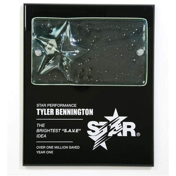 Cast Star Plaque - 10½"x13"