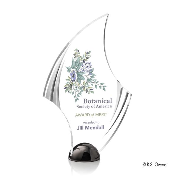 VividPrint™ Award - Flourish Hemisphere/Black Nickel 9½"