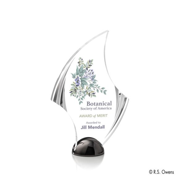 VividPrint™ Award - Flourish Hemisphere/Black Nickel 8"